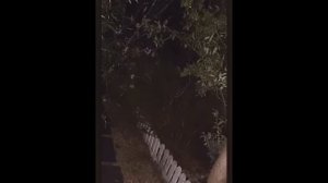 Страшные и мистические ролики Ч.2 [МИСТИКА]