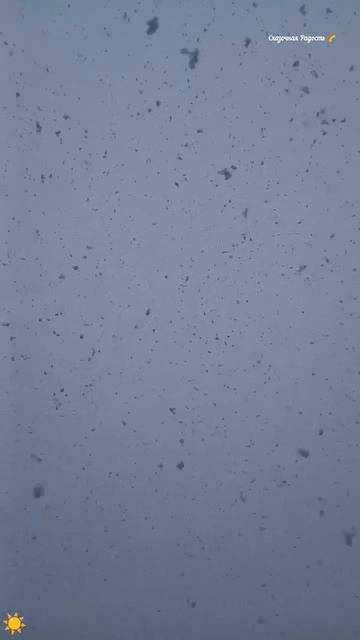 #весна2026год #снегопад #неожиданно #обзор #красиво #дагестан #событиедня14апреля2026год