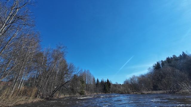 Река Комёла - 15.04.2026