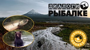 Новые приключения на Камчатке - стране вулканов, медведей и лососей