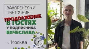 В гостях у Вячеслава г. Москва. Продолжение. Большие перемены у любителя орхидей и редких питомцев.
