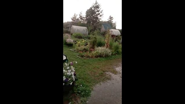 Гроза на даче