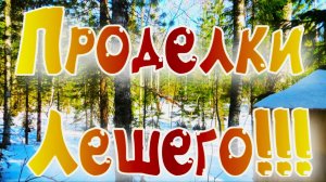 Наст держит Разношу соль Пошёл на лай Аркана трижды слышал звук убегающего зверя обошёл всё НИКОГО
