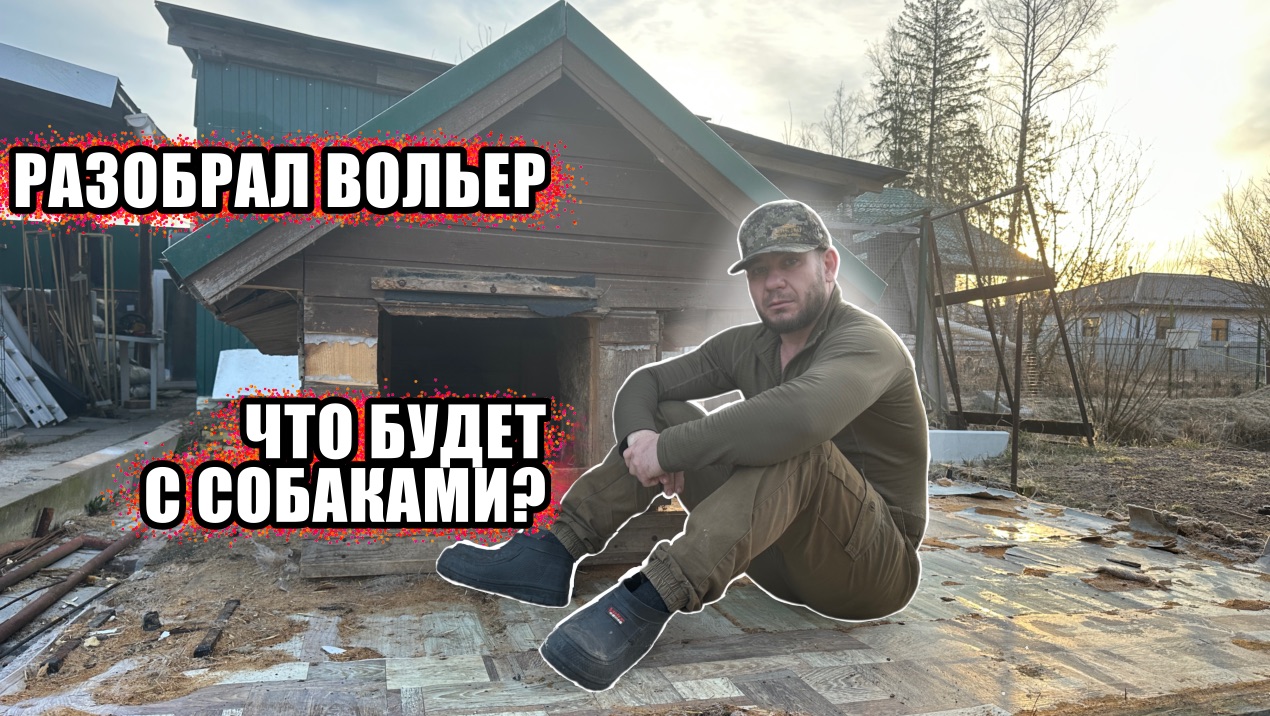 РАЗОБРАЛ ВОЛЬЕР | ЧТО БУДЕТ С  СОБАКАМИ?