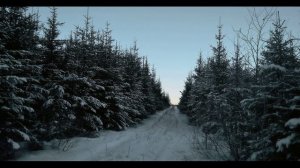 Б. Ахмадулина. 31 декабря