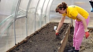 Я сегодня к вам "не тем" местом