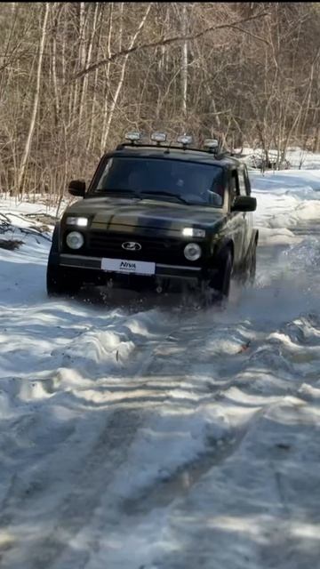 LADA NIVA BRONTO Камуфляж лес Автовек