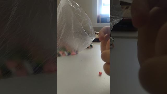 показ Кеши😉