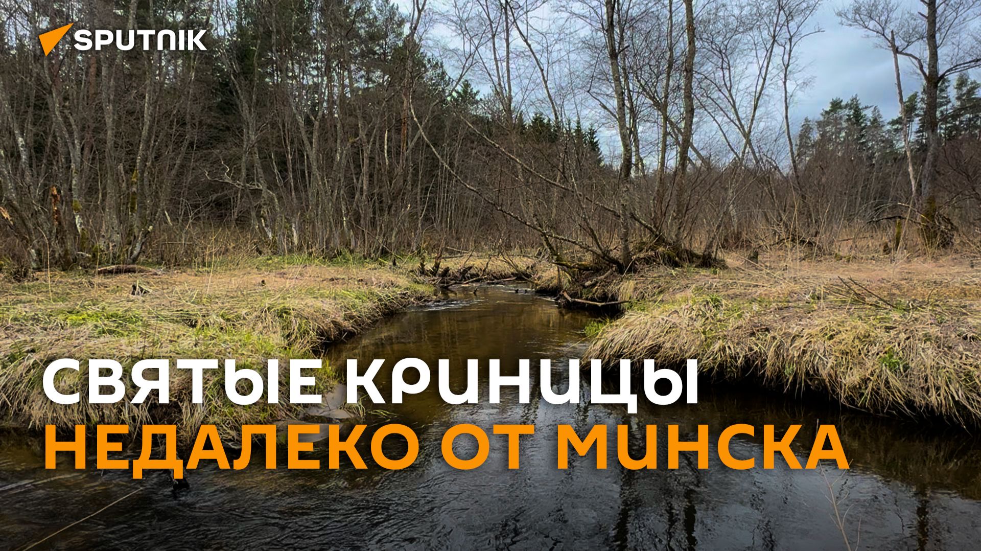 Святые криницы: волшебство природы недалеко от Минска