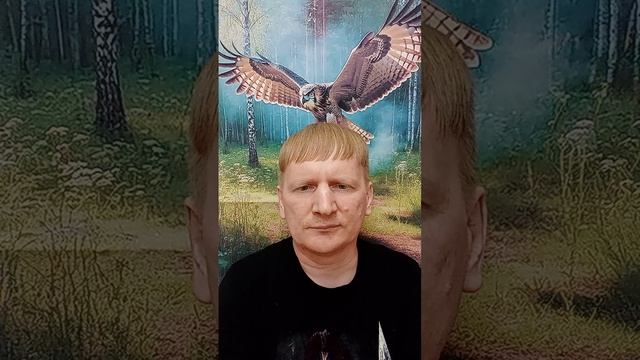 Текущая работа. Обращение к подписчикам