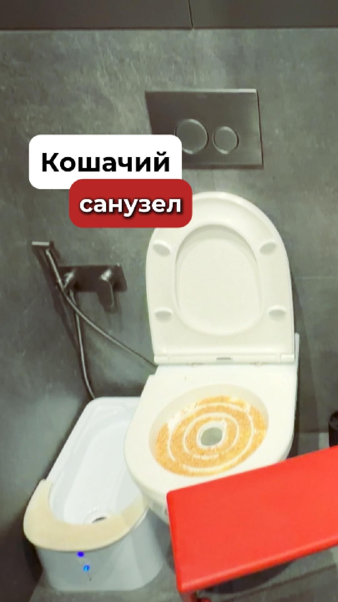 Умный дом дошёл до котов 😳 Секретный кошачий туалет