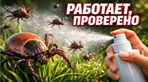 Клещи исчезают мгновенно! Проверенное средство, реально работает