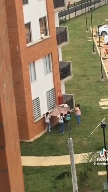 Умный, щенок! 🙀