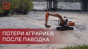 Замминистра сельского хозяйства России осмотрел пострадавшие территории Хасавюртовского района