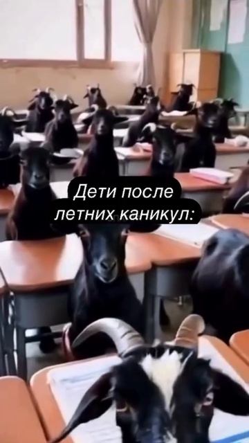 дети после летних каникул..