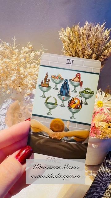 Прогноз на сегодня 🦄