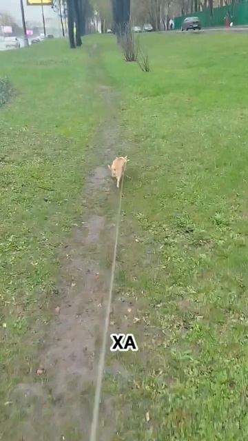 На обратном пути погуляли без дождя