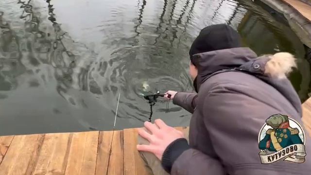 Зарыбление 15.04.2026