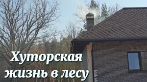 Хуторская жизнь в лесу. Вкусная еда в печи. Убираем лишнее, чтобы создать уют.