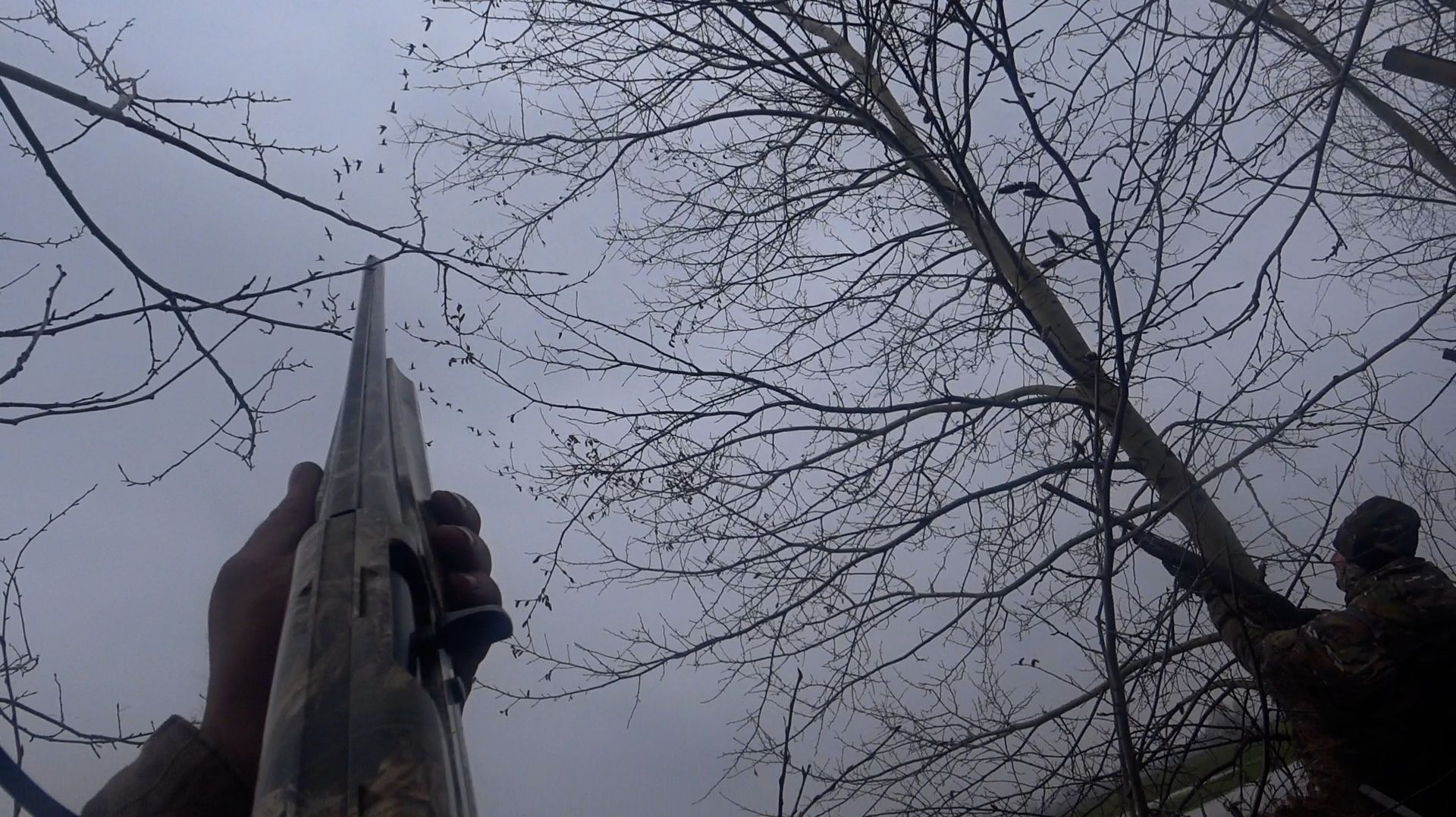 Шикарное открытие охоты на гуся. Столько гуся я еще не видел A Magnificent Opening Of The Goose Hunt