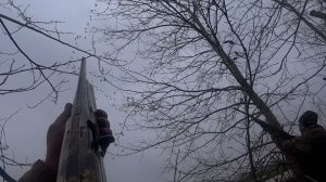 Шикарное открытие охоты на гуся. Столько гуся я еще не видел A magnificent opening of the goose hunt
