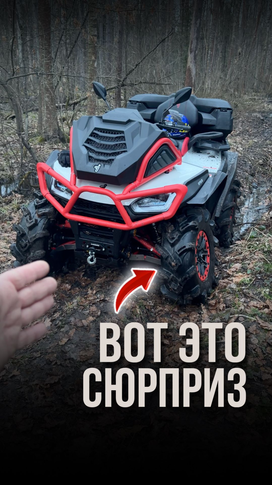 Вот это сюрприз