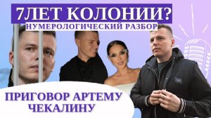 Приговор Артему Чекалину: 7 лет колонии. Нумерологический разбор родового сценария и кодов судьбы