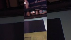 Пять ночей с мемами.