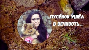 ПУСЁНОК УШЁЛ В ВЕЧНОСТЬ...
