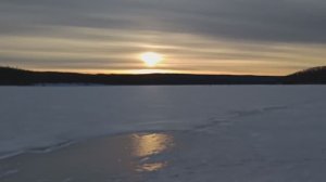 Ловля окуня,травянка на жерлицу.