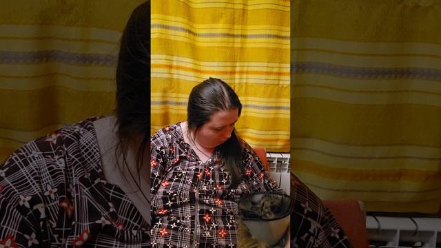 Луна шпиц собака