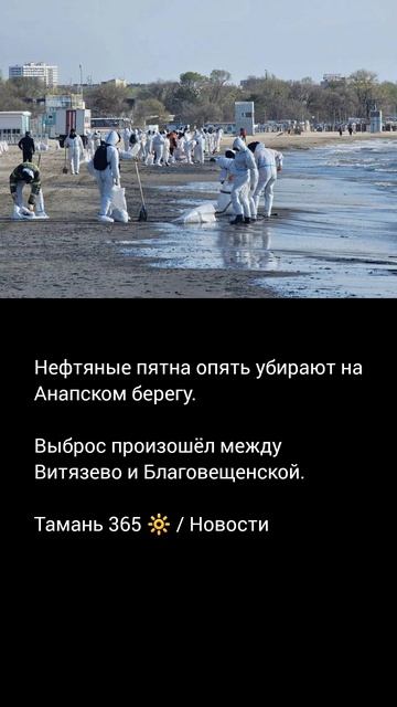 Нефтяные пятна опять убирают на Анапском берегу.  Выброс произошёл между Витязево и Благовещенской.