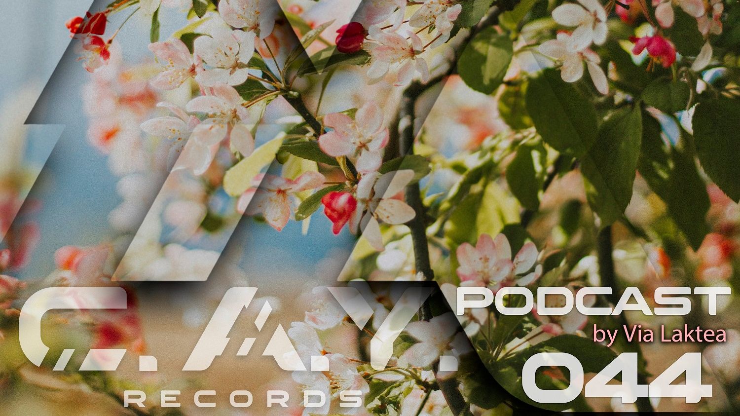 (044) C.A.Y. Records podcast by Via Laktea