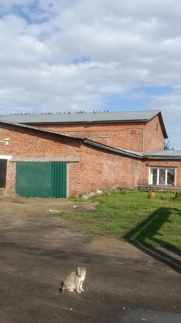 Окуневский Детский дом Мечта