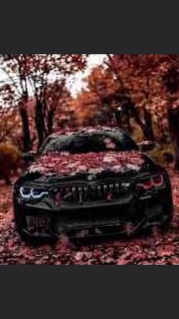 3 легенды БМВ, МЕРС И АУДИ