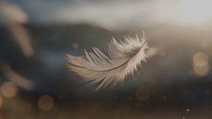 Поток Света: Шрим Хрим Кришнайа Говиндайа Сваха