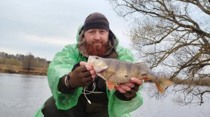 1-2,33гр вольфрам свинец,фри риг РЫБАЛКА НА СПИННИНГ весной ловля окуня
