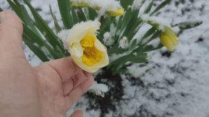 Природа вносит свои коррективы!!!