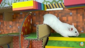 Хомячок убегает из опасного цветочного лабиринта! 10 часть