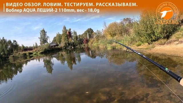 Для рыбалки на щуку, окуня, судака - воблер Леший-2. Тесты и обзоры.