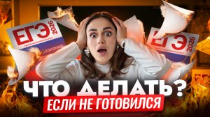 ЕГЭ по обществознанию БЕЗ ПОДГОТОВКИ: что делать, если пришел на экзамен и ничего не знаешь?