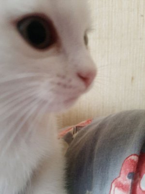 заходи на мой стрим тут весело