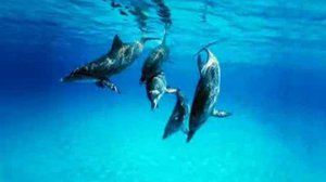 ВОСХИТИТЕЛЬНАЯ МУЗЫКА ДЛЯ РАССЛАБЛЕНИЯ