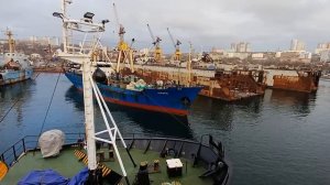 " АТРОПУС ВЛАДИВОСТОК"  , УХОДИТ В РЕЙС
С ПОРТА ДИОМИД ВО ВЛАДИВОСТОКЕ