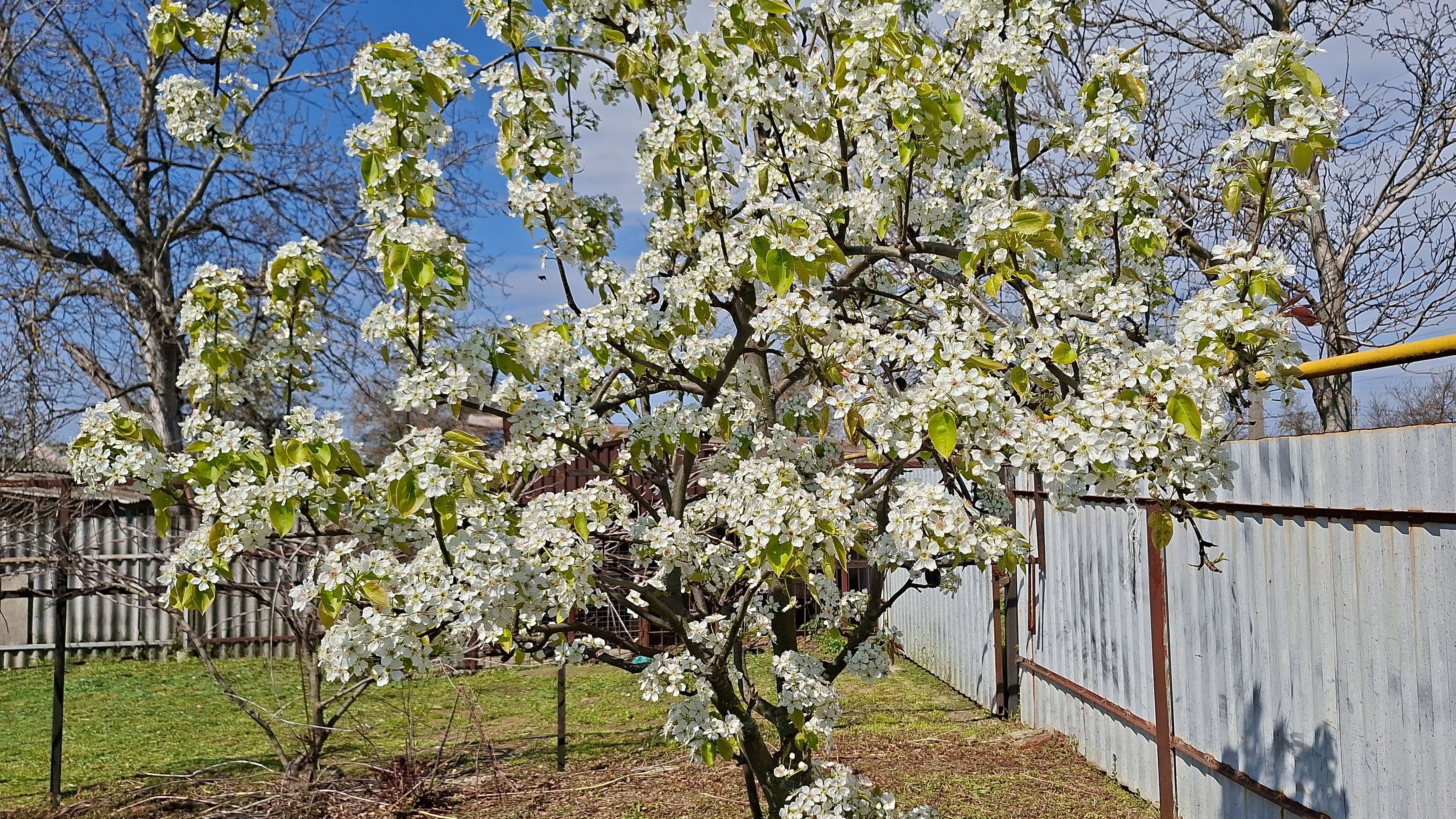 Мы в Адыгее..Все прошло хорошо..и я свалилась🫣..Собираемся обратно в дорогу..