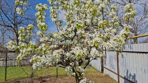 Мы в Адыгее..Все прошло хорошо..и я свалилась🫣..Собираемся обратно в дорогу..