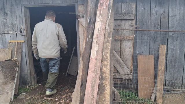 Готовим домик для кур.Разбираем залежи столетней давности.