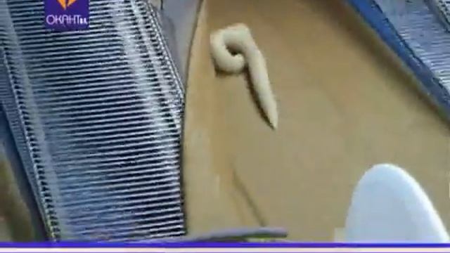 Производство блинчиков с начинкой Rotofour BECAM (Франция)