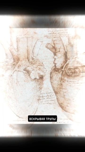 Леонардо Да Винчи #история #хочуфакты  #юмор #факты #history #искусство #новости #historicalfacts