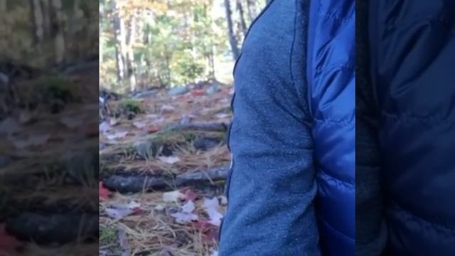 Отзывы о магах +7(918)-936-88-06